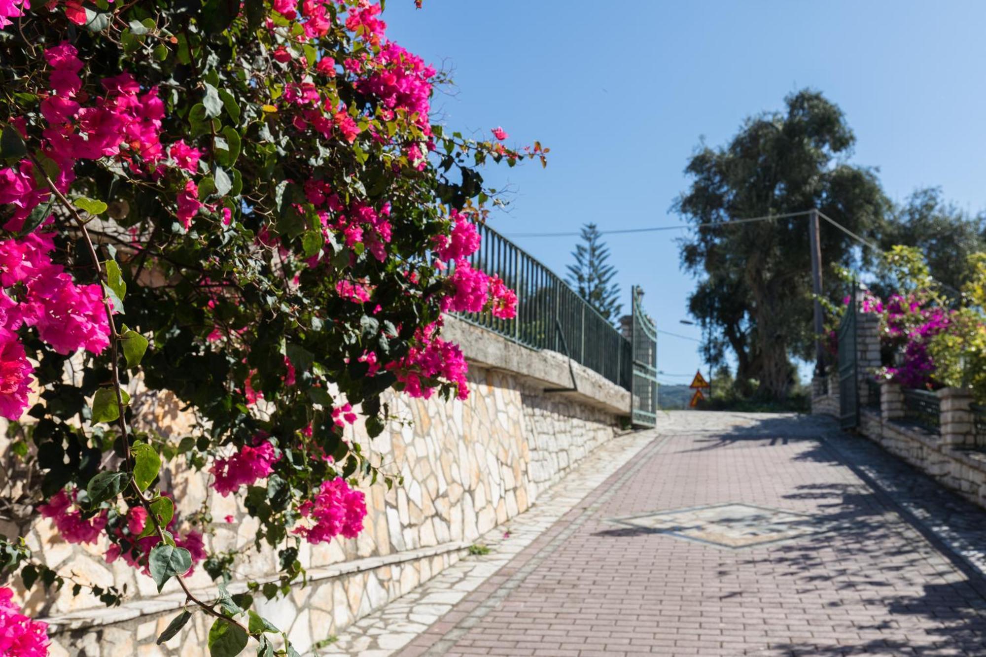 Villa Anthoussa In Palaiokastritsa Extérieur photo